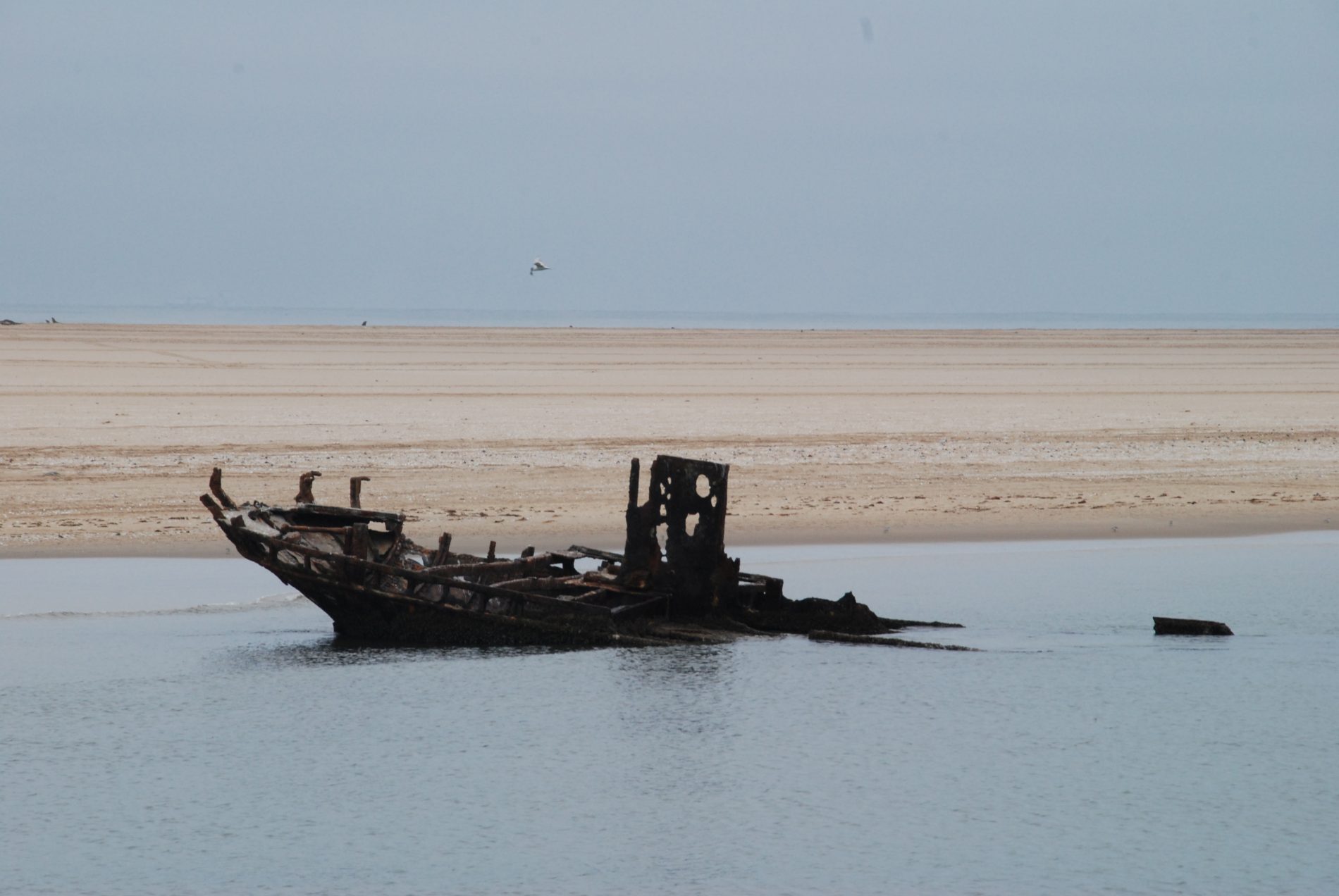 Schiffswrack vor der Sandbank