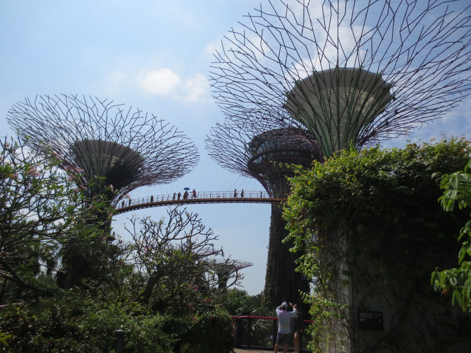 Gigant Trees in den Gardens by the Bay