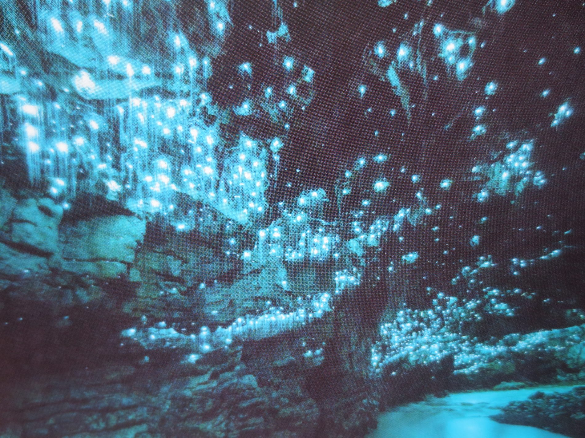 Glühwürmchen-Höhle
